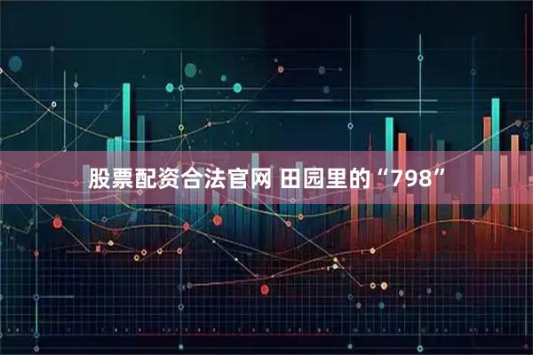 股票配资合法官网 田园里的“798”