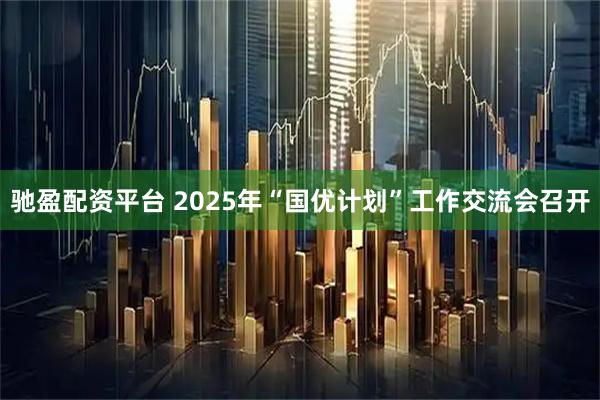 驰盈配资平台 2025年“国优计划”工作交流会召开