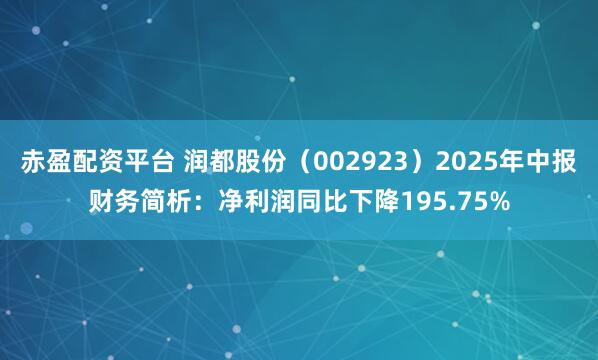 赤盈配资平台 润都股份（002923）2025年中报财务简析：净利润同比下降195.75%