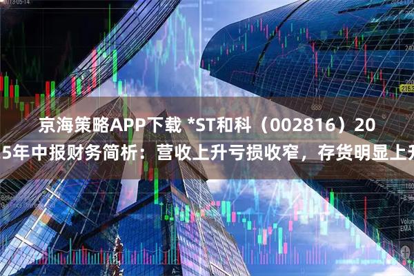 京海策略APP下载 *ST和科（002816）2025年中报财务简析：营收上升亏损收窄，存货明显上升